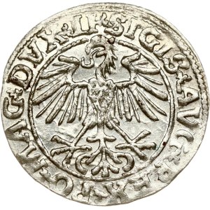 Lithuania Polgrosz 1550 Vilnius
