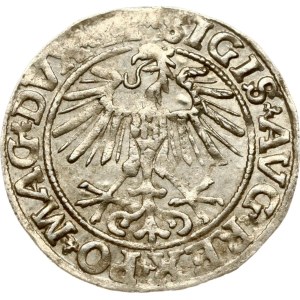 Lithuania Polgrosz 1551 Vilnius (R1)