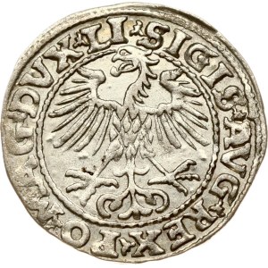 Lithuania Polgrosz 1552 Vilnius (R1)