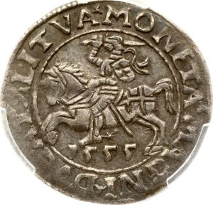 Lithuania Polgrosz 1555 Vilnius PCGS AU 53