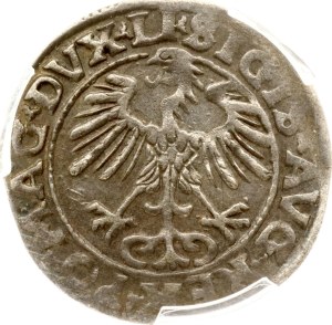 Lithuania Polgrosz 1555 Vilnius PCGS AU 53
