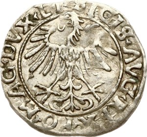 Lithuania Polgrosz 1556 Vilnius (R)