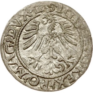 Lithuania Polgrosz 1561 Vilnius