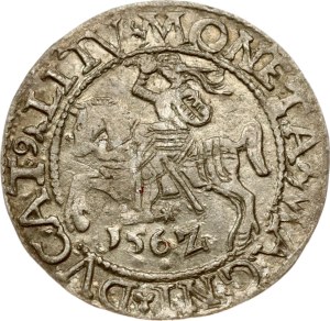 Lithuania Polgrosz 1562 Vilnius (R)
