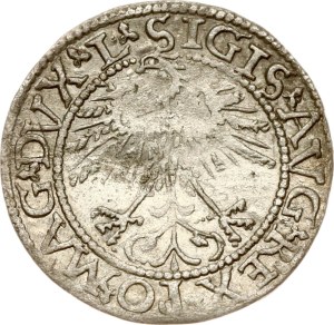 Lithuania Polgrosz 1562 Vilnius (R)