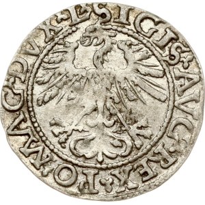 Lituania Polgrosz 1562 Vilnius