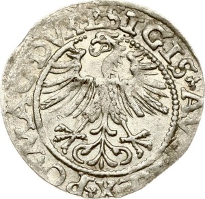 Lithuania Polgrosz 1562 Vilnius (R)