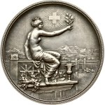 Switzerland Medal 1895 Federal shooting festival in Winterthur