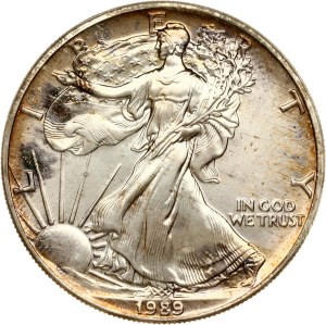 USA Dollar 1989 American Silver Eagle