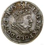 Trojak, 1536, Gdansk; a variety with a narrower bust of the ruler....