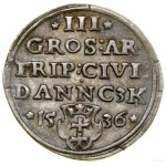Trojak, 1536, Gdansk; a variety with a narrower bust of the ruler....
