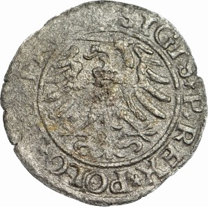 Sigismund the Old, Szeląg 1532, Elbląg