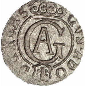 Gustav II Adolf, Shelag 1630, Elblag