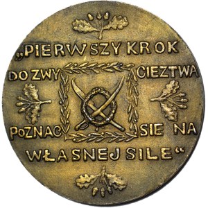R-, Medal 1917, T Kosciuszko, Lashka, First step to freedom
