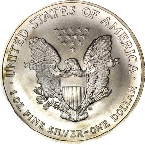 United States of America (USA), 1 dollar Eagle 2004, 1 Oz Ag999