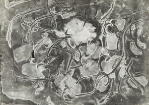 Bronisław Schlabs (1920 Poznań - 2009 Poznań), 