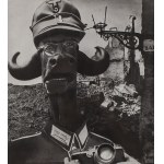 Mieczyslaw Berman (1903 - 1975 ), "Der Photoamateur", 1956