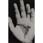 Teresa Murak (ur. 1949, Kiełczewice), 