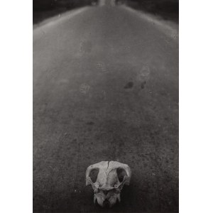 Jerzy Lewczyński (1924 Tomaszów Lubelski - 2014 ), End of the Road, 1959