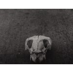 Jerzy Lewczyński (1924 Tomaszów Lubelski - 2014 ), End of the Road, 1959