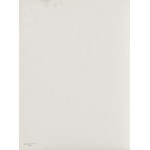 Tadeusz Rydet (1909 - 1987 ), "On the Trail" from the series "Landscapes", 1960s.