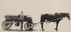 Jerzy Kosiński (1933 Łódź - 1991 Nowy York), 