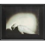 Pavel Baňka (b. 1941), Untitled, from the series Figuration, 1985