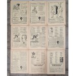Tse-Tse. Tygodnik satyryczno-polityczny. R.1934 - 9 numerów [Sejm, Piłsudski, Witos]