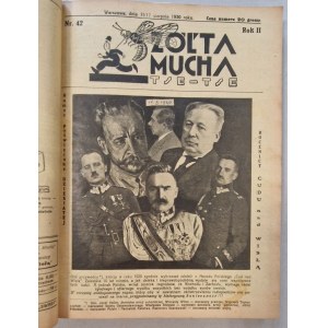 Tse-Tse's Yellow Fly. R.1930 No.23 - R.1931 No.49 (69 issues) [Pilsudski, illustrated by A. Horowicz].