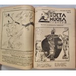 Tse-Tse's Yellow Fly. R.1930 No.23 - R.1931 No.49 (69 issues) [Pilsudski, illustrated by A. Horowicz].