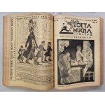 Tse-Tse's Yellow Fly. R.1930 No.23 - R.1931 No.49 (69 issues) [Pilsudski, illustrated by A. Horowicz].