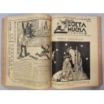 Tse-Tse's Yellow Fly. R.1930 No.23 - R.1931 No.49 (69 issues) [Pilsudski, illustrated by A. Horowicz].