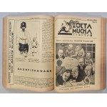 Tse-Tse's Yellow Fly. R.1930 No.23 - R.1931 No.49 (69 issues) [Pilsudski, illustrated by A. Horowicz].