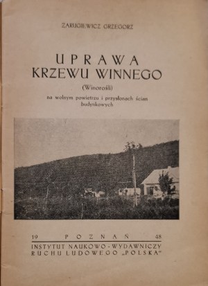 Zarugiewicz Grzegorz - Cultivation of the vine (Grapevine), in the open air ... [1948].