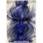 proj. Waldemar ŚWIERZY (1931-2013), A Midsummer Night