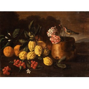 Giuseppe Ruoppolo (Napoli, 1631 - 1710) (ambito di), Still life with lemons, strawberrys and a little bird