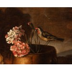 Giuseppe Ruoppolo (Napoli, 1631 - 1710) (ambito di), Still life with lemons, strawberrys and a little bird