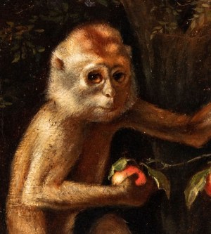George Stubbs (seguace di) (Liverpool 1724 - Londra 1806), Little monkey with peaches
