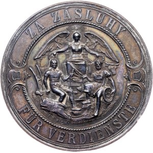 Franz Joseph I., Medal ND (1870-1918)