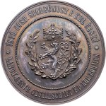 Franz Joseph I., Medal ND (1870-1918)