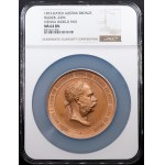 Franz Joseph I., Medal 1873, Vienna
