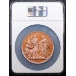 Franz Joseph I., Medal 1873, Vienna