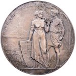 Franz Joseph I., Medal 1906, Vienna