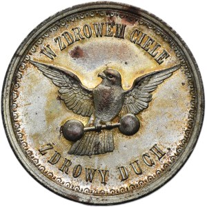 Galicia, Medal on the Occasion of the 25th Anniversary of the Founding of the Lviv Falcon 1892