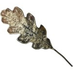 Badge in the form of an oak leaf Lviv 1929