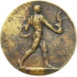 Medal VIII Zadwórzański March 1934