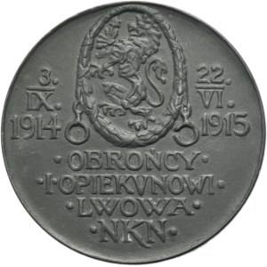 Galicia, Tadeusz Rutowski Medal, Defender and Guardian of Lviv 1915