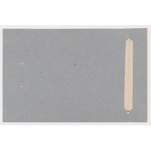 WZÓR 1 złoty 1919 S.57 E - na oryginalnym kartonie - BEZ perforacji