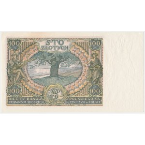 100 zloty 1934 - dashes in watermark