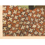 Carl-Heinz Hargesheimer ('Chargesheimer') (1924 Cologne - 1971 ibid.)